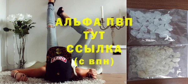 гидра Аркадак