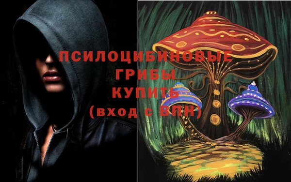 кокс Армянск
