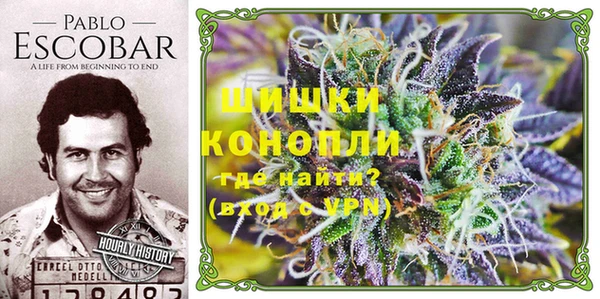 гидра Аркадак